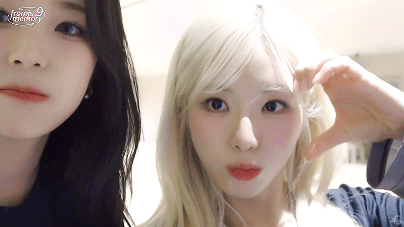 img.gif