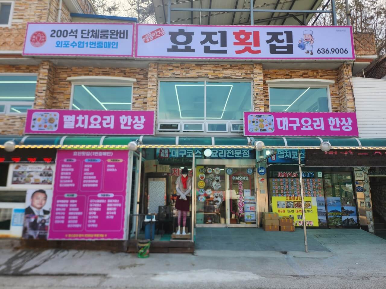 생생정보 2307회 음식 X-파일 거제 외포항 멸치 세트 요리 효진횟집 (대구코스요리 맛집)