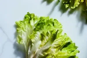 상추