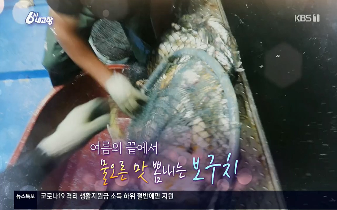 6시 내고향.E7608.220832p.H264-F1RST.mp4_20220901_204407.366.jpg