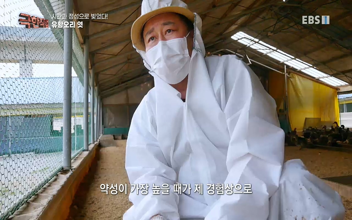 TV - 교육의 중심 EBS시간과 정성으로 빚었다! 유황오리 엿, 죽력, 도라지정과.mp4_20220521_185520.744.jpg