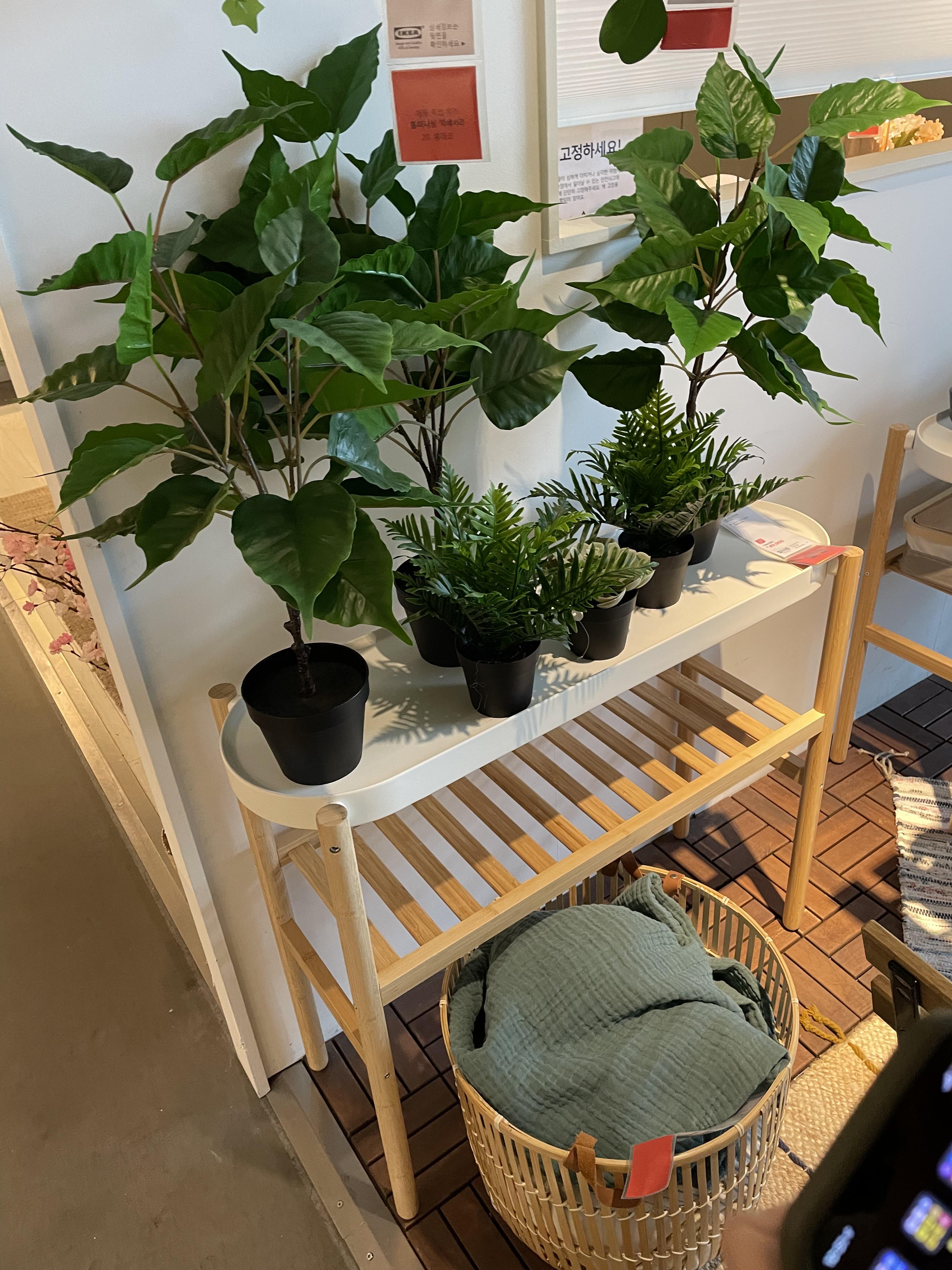  이케아 화분선반을 사이드 테이블로 활용하기(IKEA, 삿수마스)