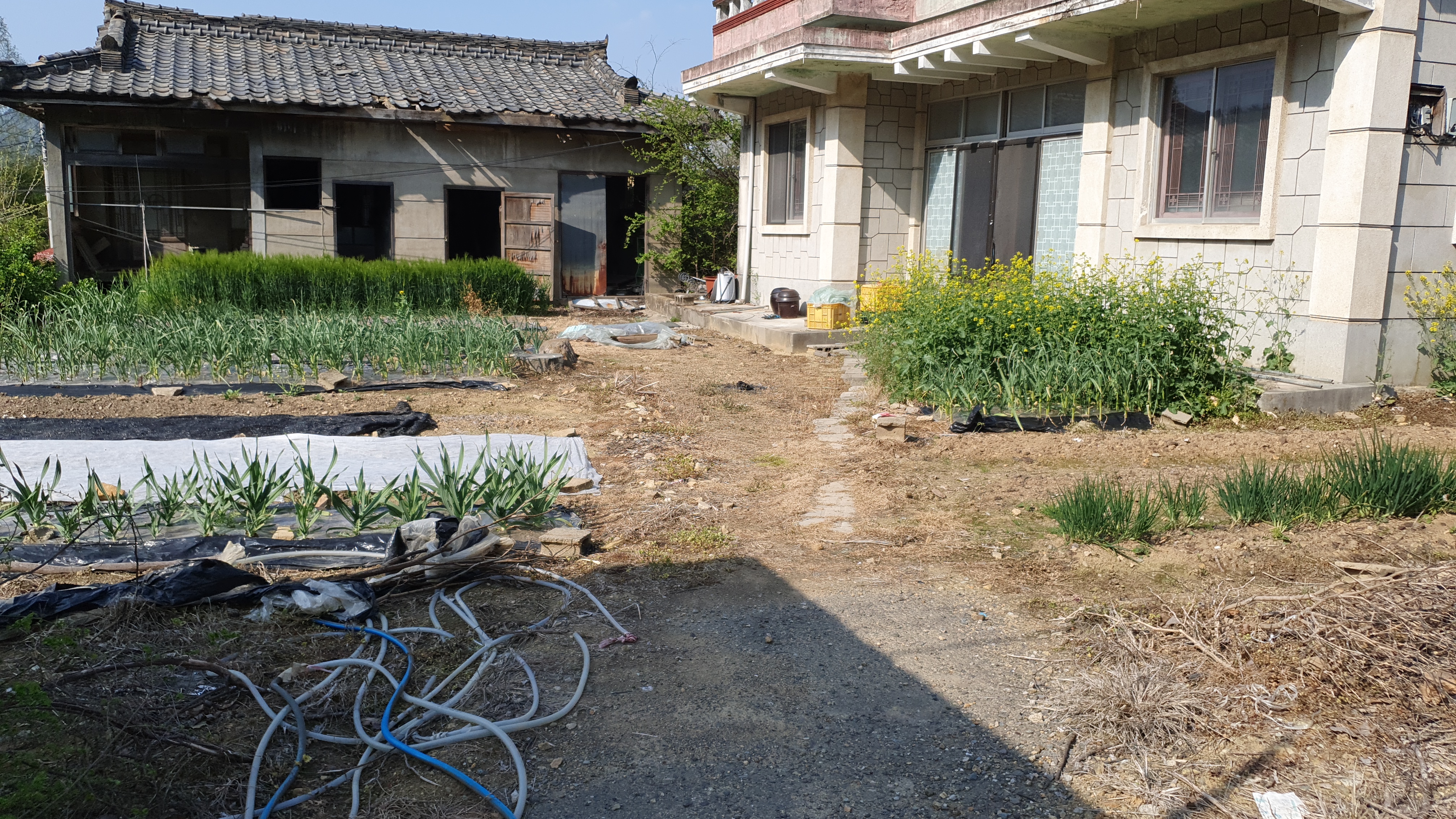  (땅나라 334번) 경남 김해시 생림면 소재, 마을 안쪽 중심위치한, 전원주택형 빈집 매매입니다. 문의 055)585-0053
