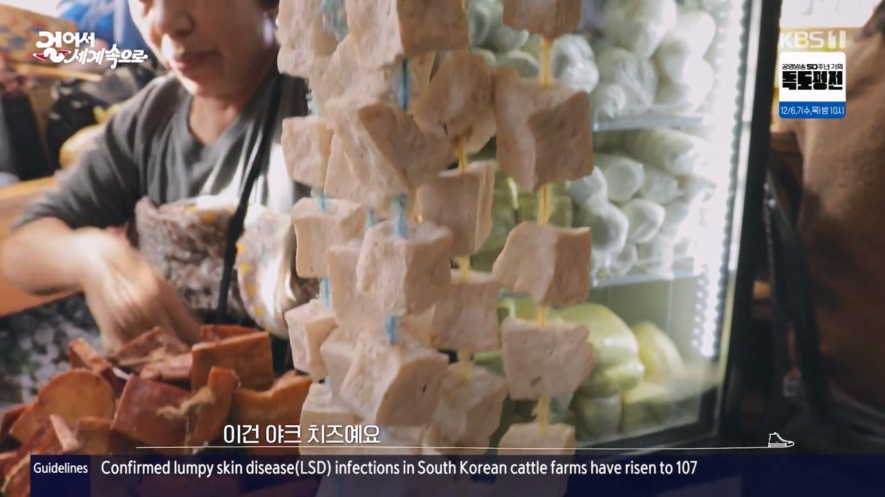 걸어서 세계속으로.E819.231126p-NEXT.mp4_20231126_173700.064.jpg