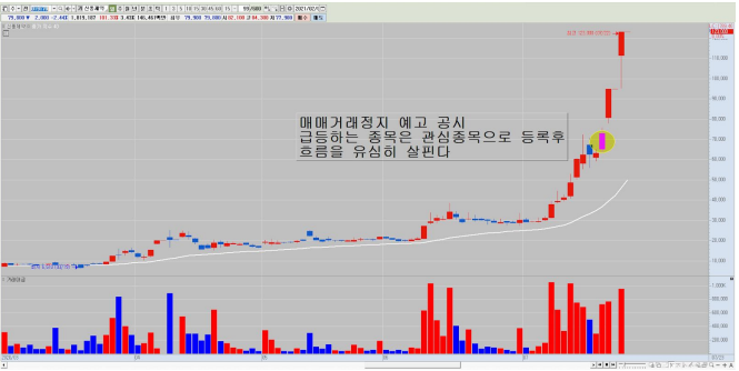  주식 확률 높은 단타매매 투자 노하우! 6편
