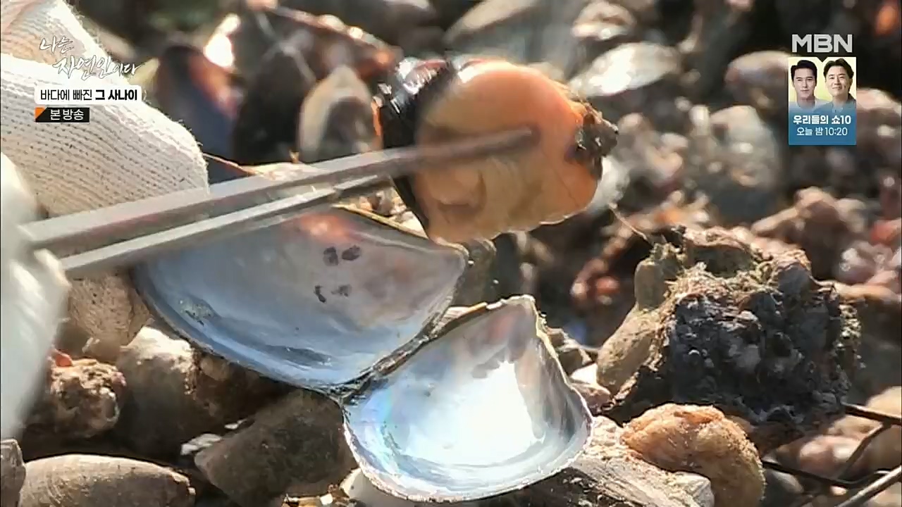 나는 자연인이다.E530.221131p.H264-F1RST.mp4_20221201_212032.319.jpg