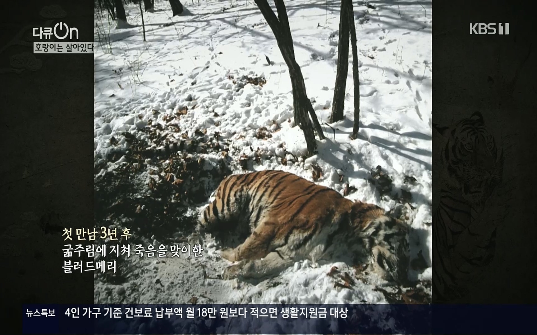 다큐 On.E150.220729p.H264-F1RST.mp4_20220730_164040.571.jpg