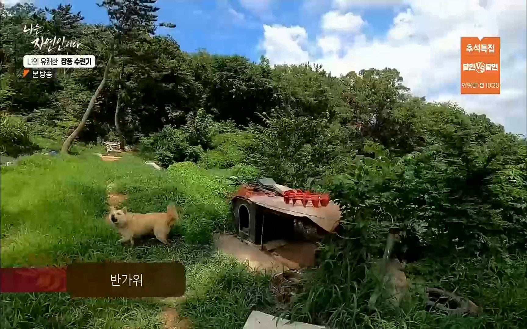 나는 자연인이다.E517.220831p.H264-F1RST.mp4_20220901_200947.882.jpg