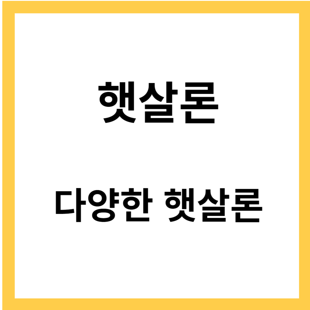 햇살론 - 다양한 햇살론