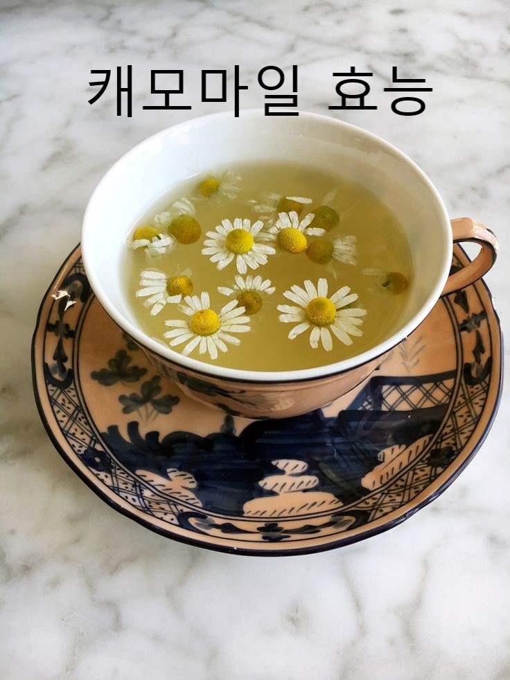  카모마일이 우리 몸에 주는 효능 5가지 알아보자