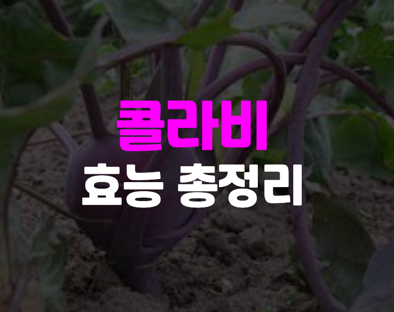  콜라비 효능 4가지 팁