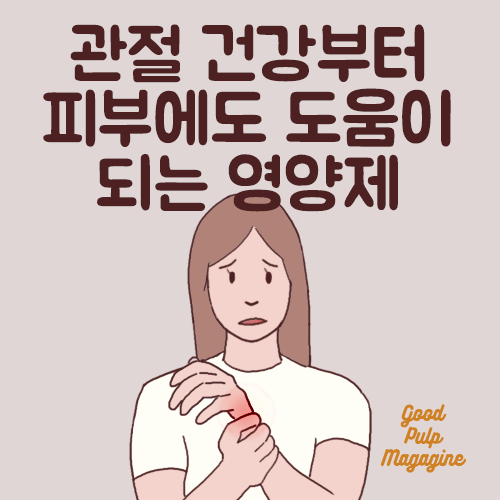 닥터스 베스트 MSM 영양제 효능