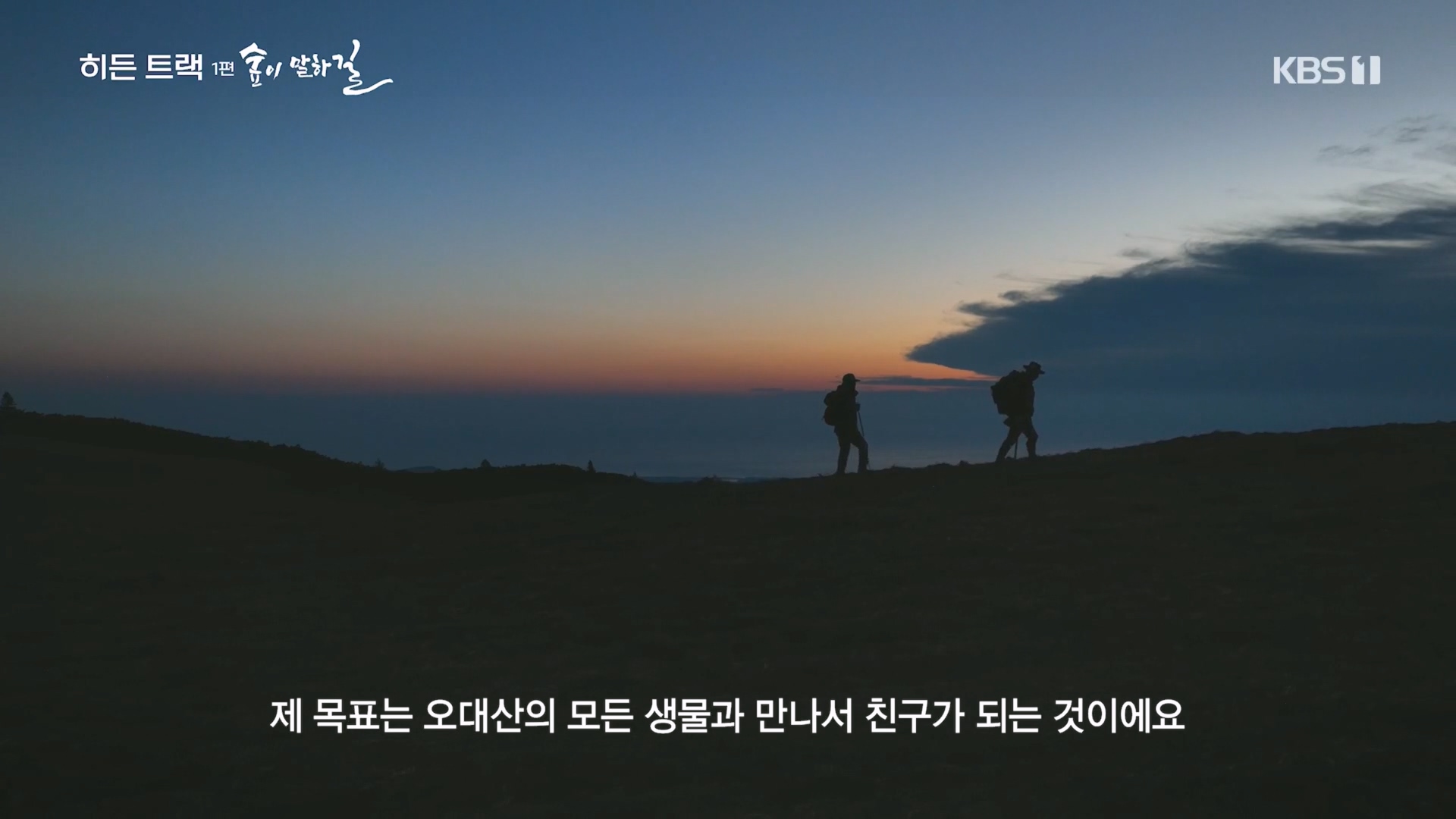 다큐 인사이트.E176.231214p.H264-F1RST.mp4_20231215_205326.393.jpg
