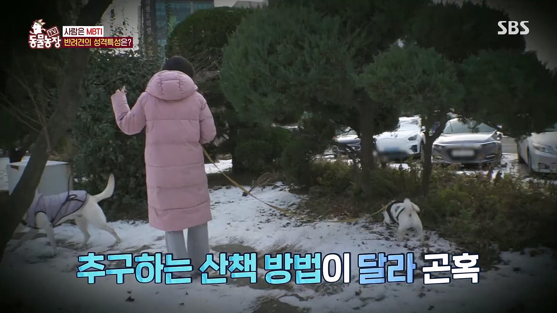 TV 동물농장.E1106.230129p.H264-F1RST.mp4_20230130_192731.619.jpg