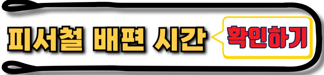 보길도 피서철 배시간