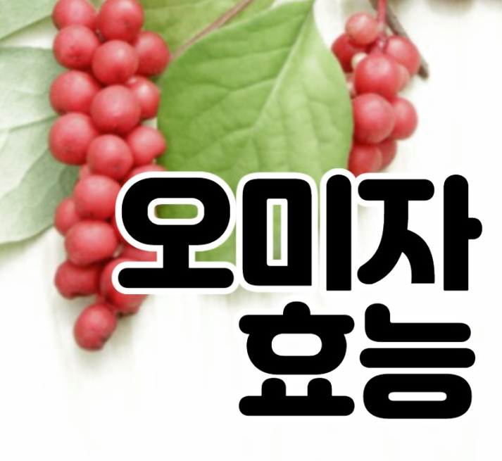  오미자 엑기스 효능: 건강에 도움을 주는 자연의 보석