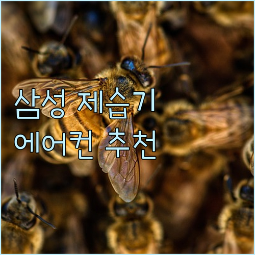 2023년 최고의 삼성 제습기와 에어