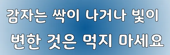 감자는 싹이 나거나 빛이 변한 것은 먹지 마세요