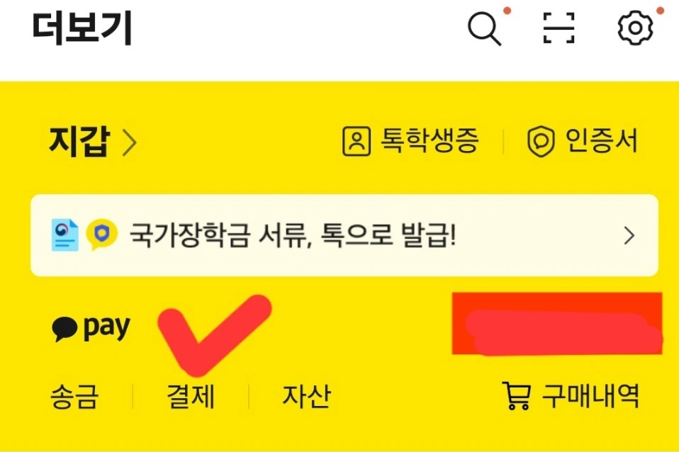 카카오페이