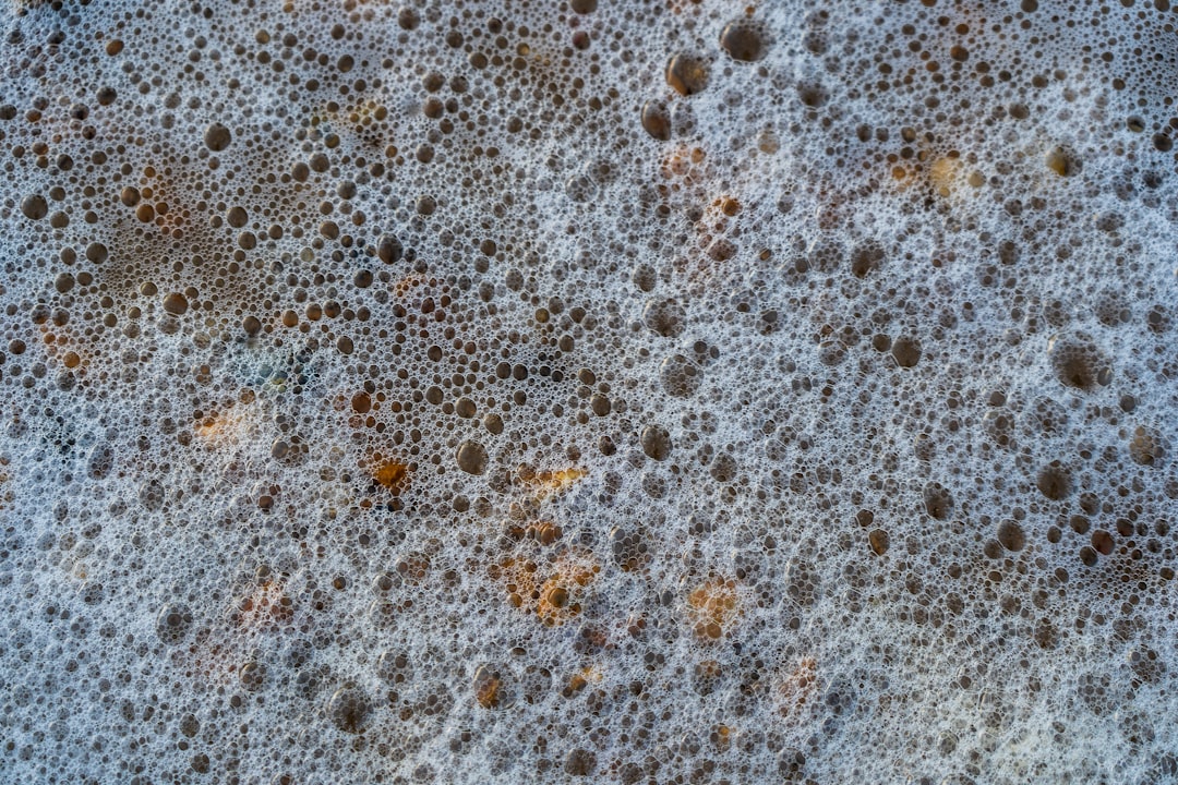 Fermentation