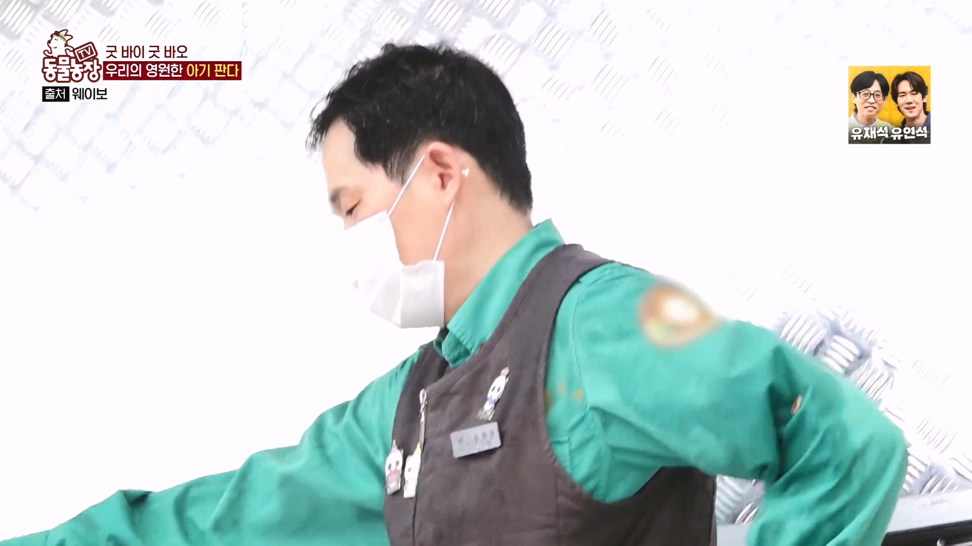 TV 동물농장.E1166.240407p-NEXT.mp4_20240407_164509.861.jpg