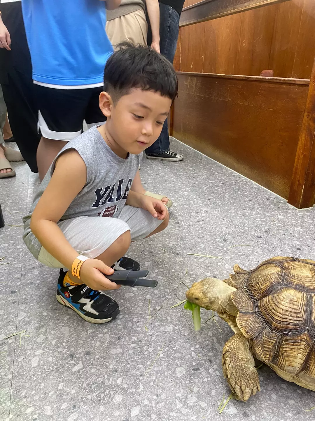 동물먹이주기체험