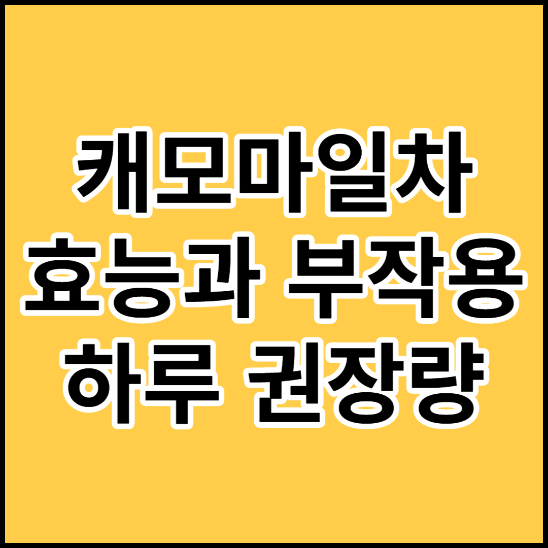  [캐모마일차]효능과 부작용,일일 권장량