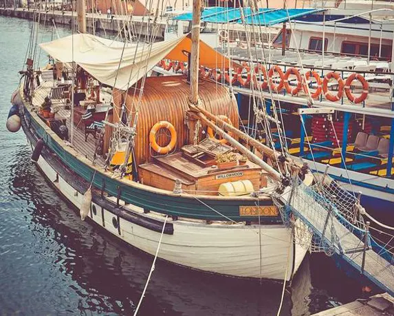 고양이 화장실 모래 비교 가이드