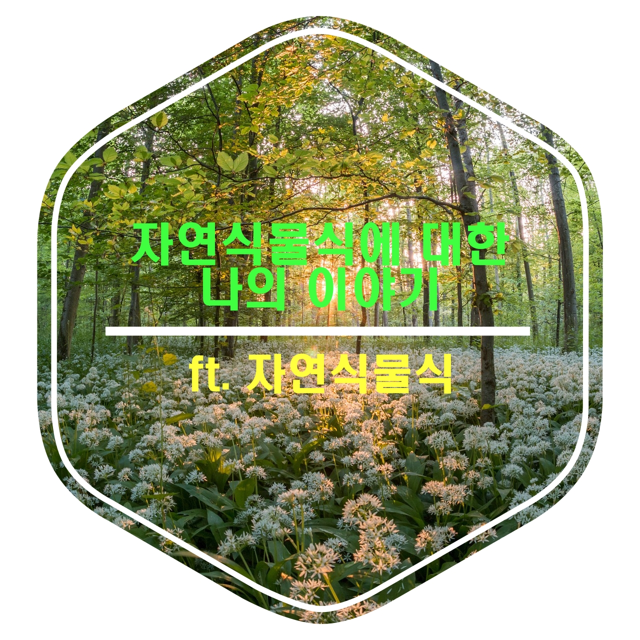  건선에 대한 나의 이야기, ft 자연식물식이 답이다
