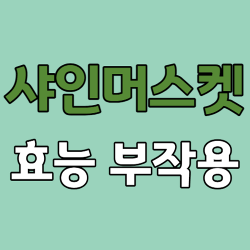 샤인머스켓 효능 칼로리