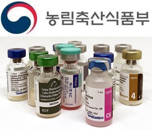  돼지열병 테마주, 백신 방역 대장주 TOP10