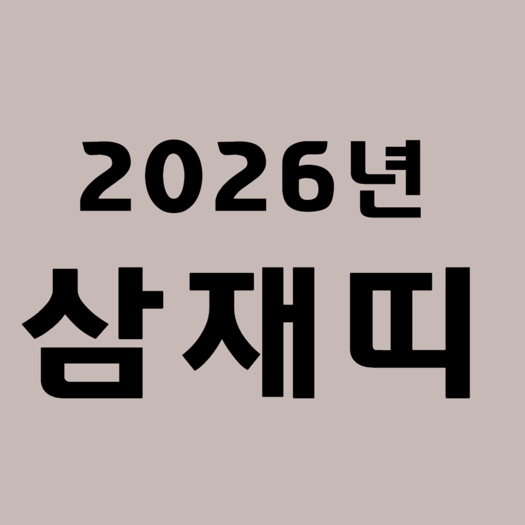 2026년 삼재띠