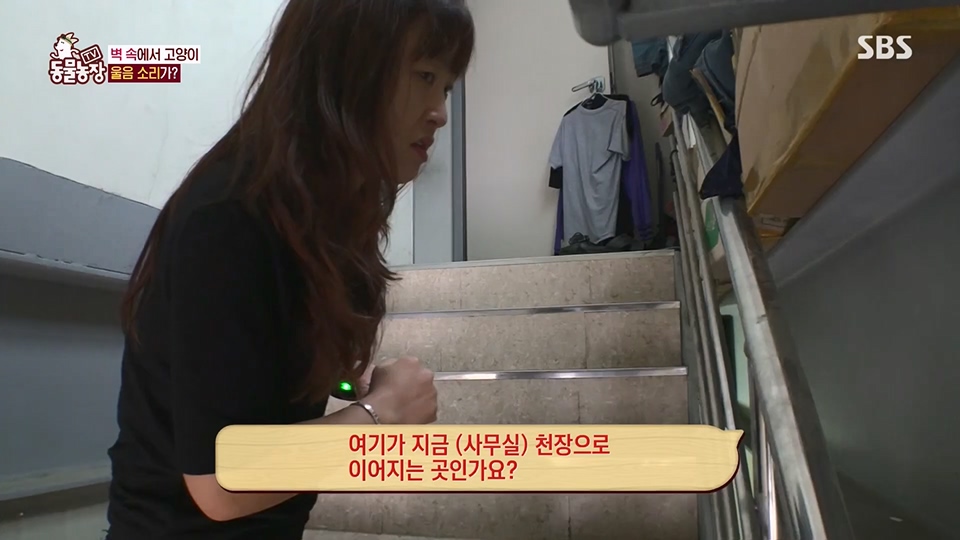 TV 동물농장.E1124.230611p.H264-F1RST.mp4_20230611_173542.684.jpg