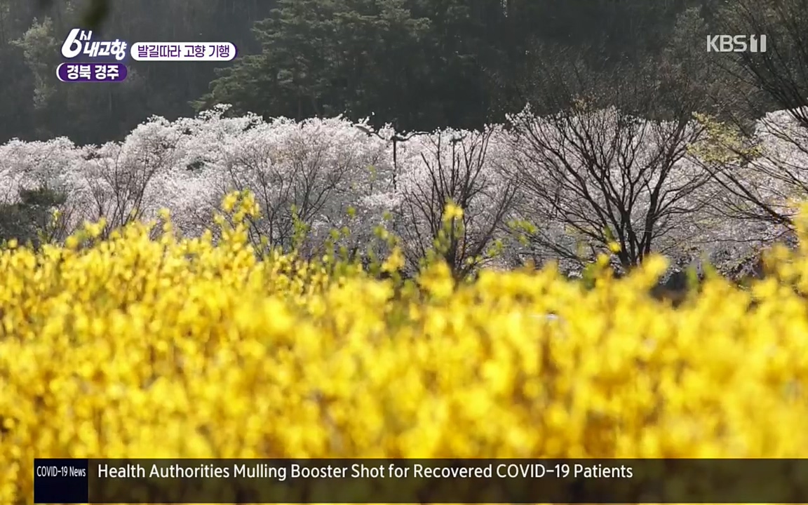 6시 내고향.E7510.220414p.H264-F1RST.mp4_20220419_185233.604.jpg