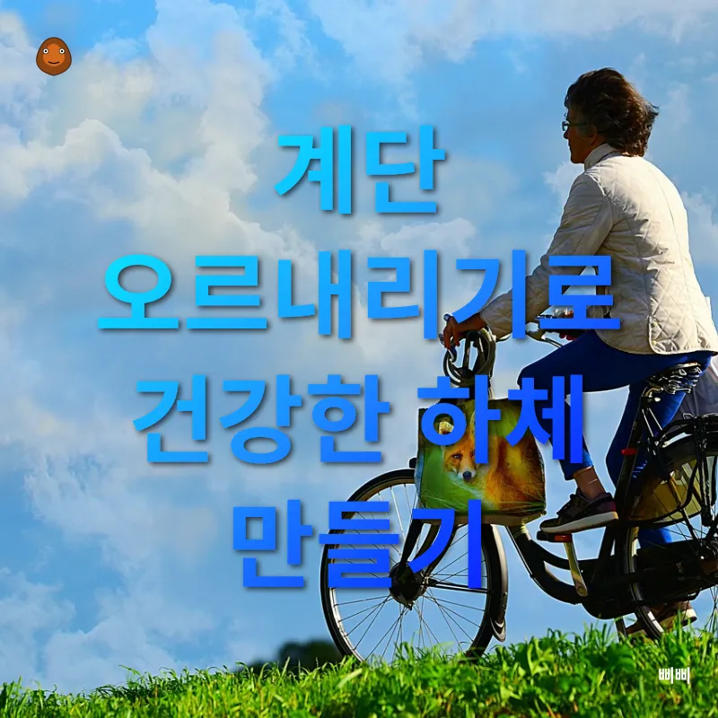 생활체육 운동법_1