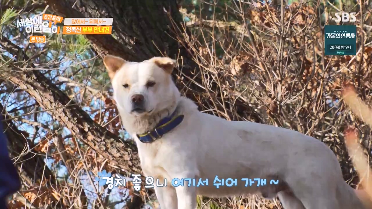 순간포착 세상에 이런일이.E1256.231217p-NEXT.mp4_20231217_175014.590.jpg