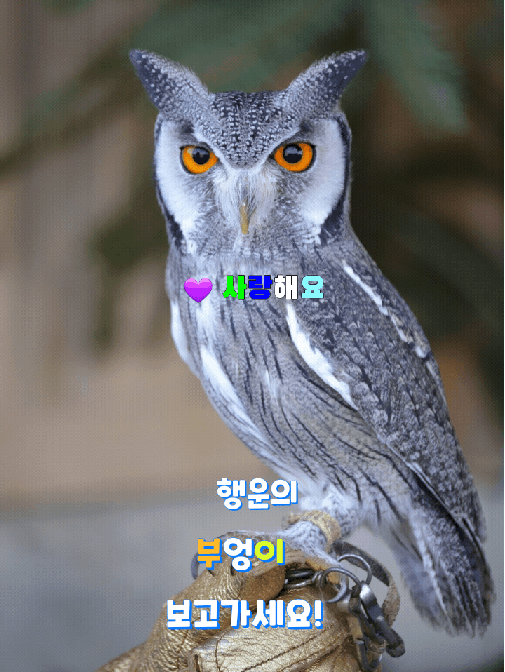  사랑해요