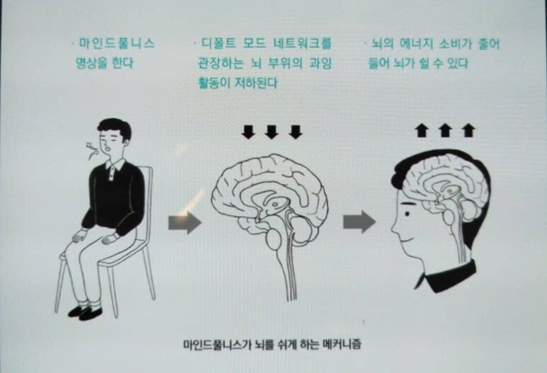  [마음 챙김] 마인드풀니스가 뇌를 쉬게 하는 과정