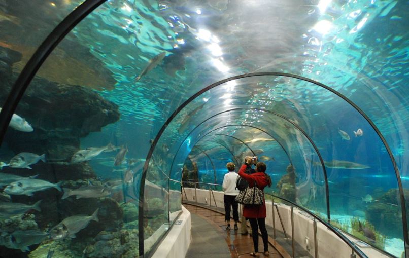  지중해 아쿠아리움(Barcelona Aquarium) 특징과 관람코스 추천