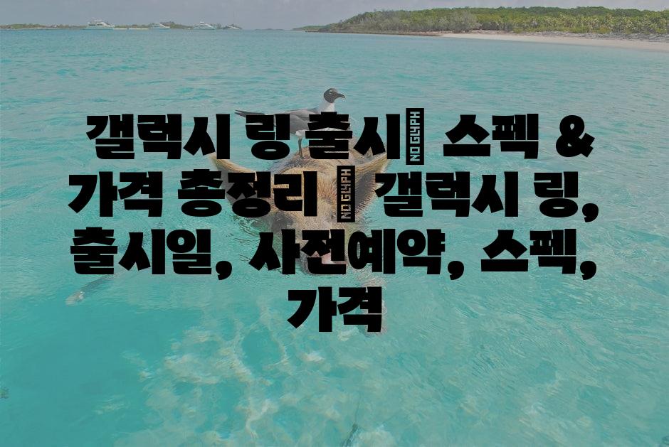 샘플 (1)