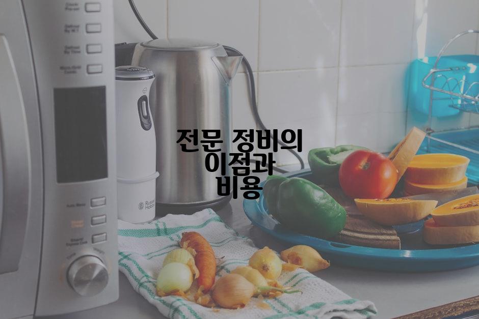 전문 정비의 이점과 비용