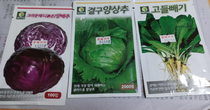 왼쪽부터 붉은 양배추 ,  양상추 & # 44;  후추 씨앗