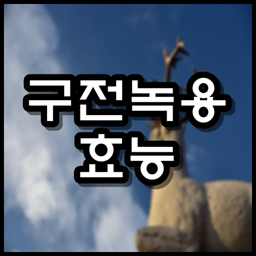  구전녹용 효능 가격
