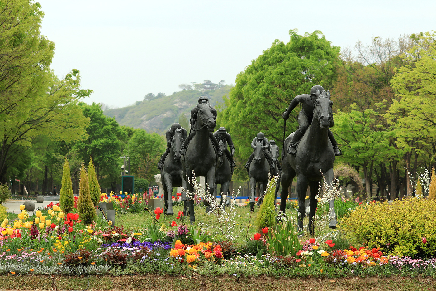 주말 서울숲 튤립 개화 현황… 4