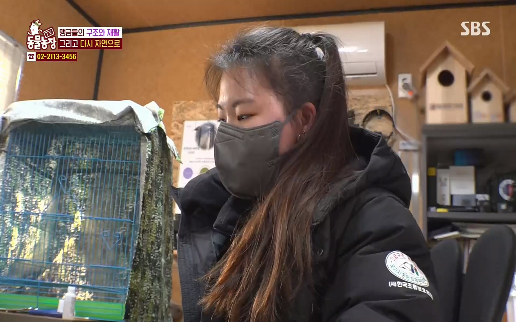 TV 동물농장.E1061.220320p.H264-F1RST.mp4_20220320_183605.619.jpg
