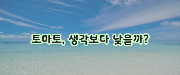 토마토 칼로리 얼마나 될까요 궁금하시죠?
