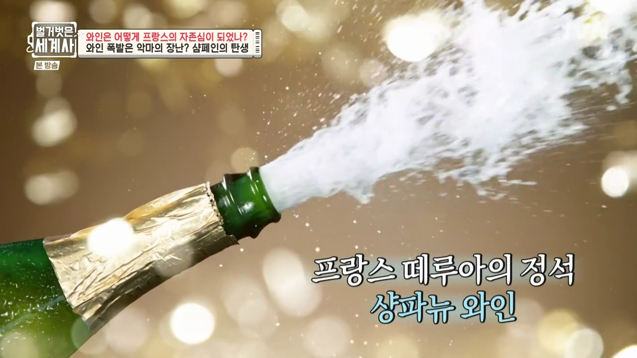 와인이야기 | 와인(wine)을 사랑한 나라 - 프랑스! 2부 - undefined - 모든 영역 와인이야기 | 와인(wine)을 사랑한 나라 - 프랑스! 2부 - undefined - 모든 영역