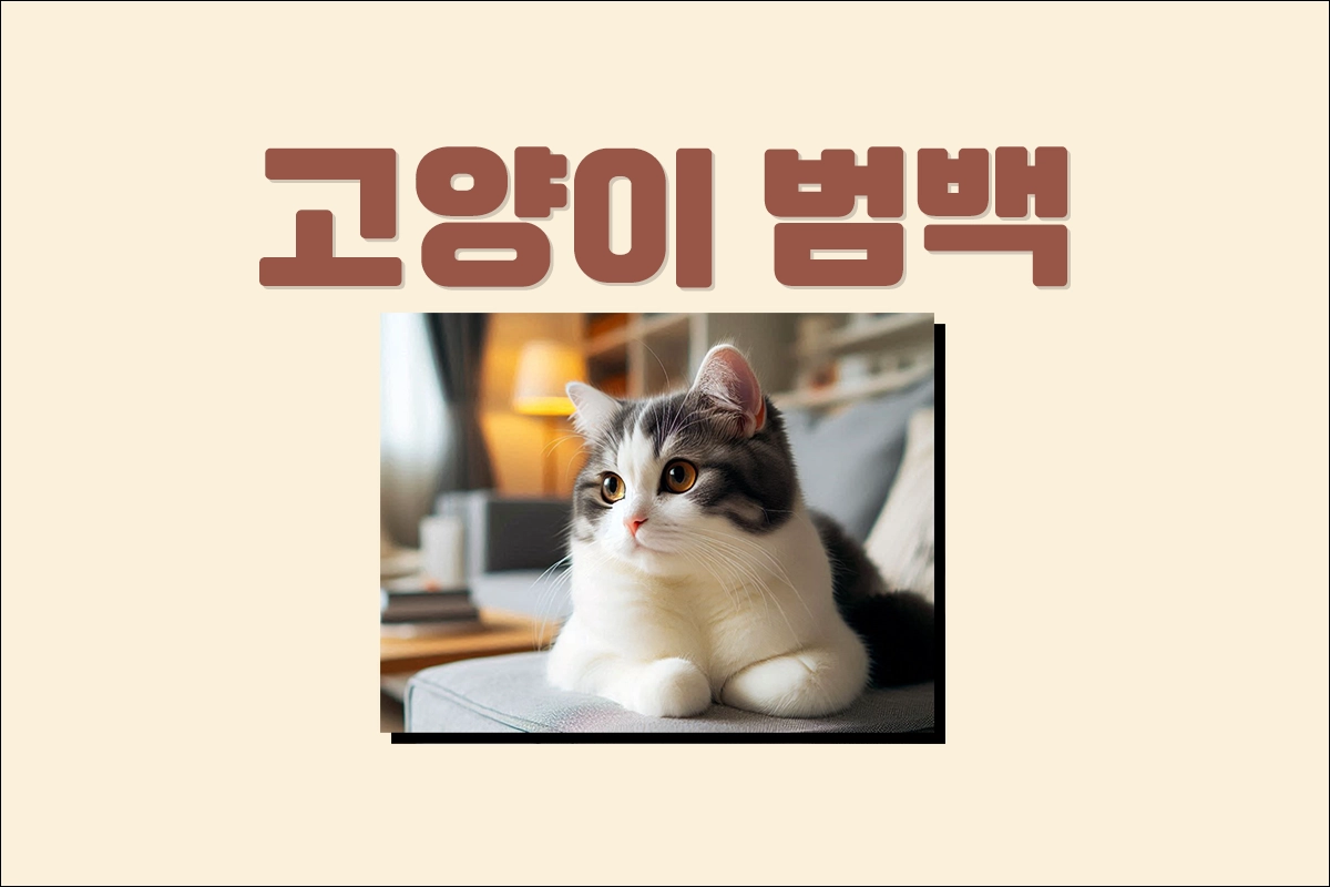 고양이 범백(범백혈구감소증)