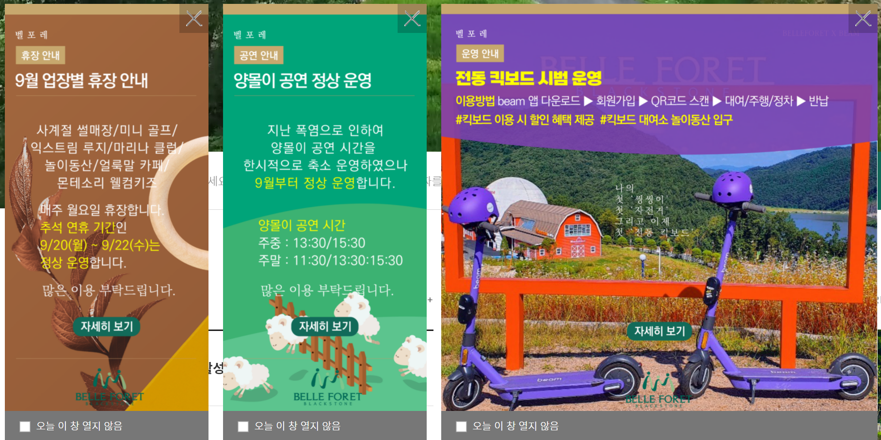 블랙스톤벨포레 투썸플레이스 이미지