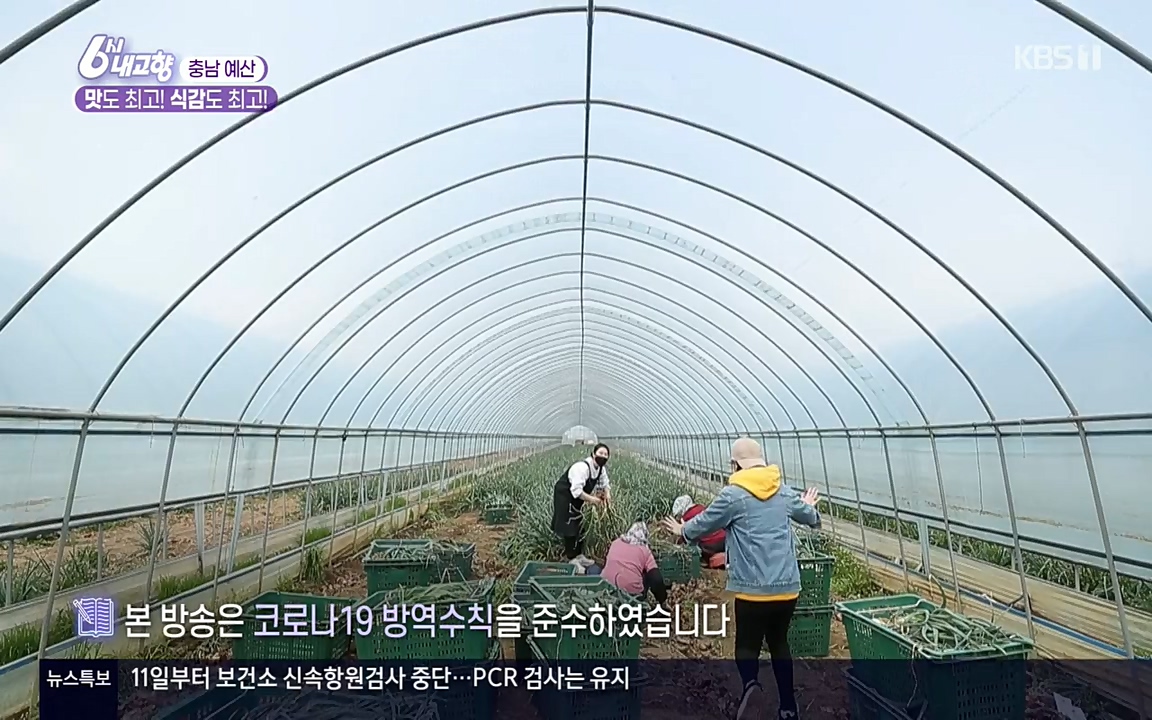 6시 내고향.E7515.220409p-NEXT.mp4_20220414_163528.265.jpg